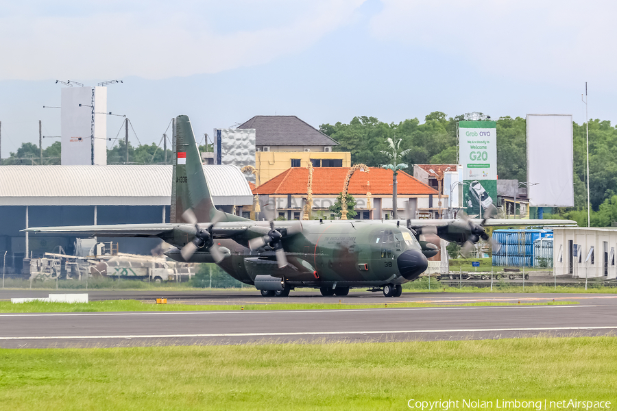 Indonesian Air Force (TNI-AU) Lockheed C-130H Hercules (A-1338) | Photo 537822