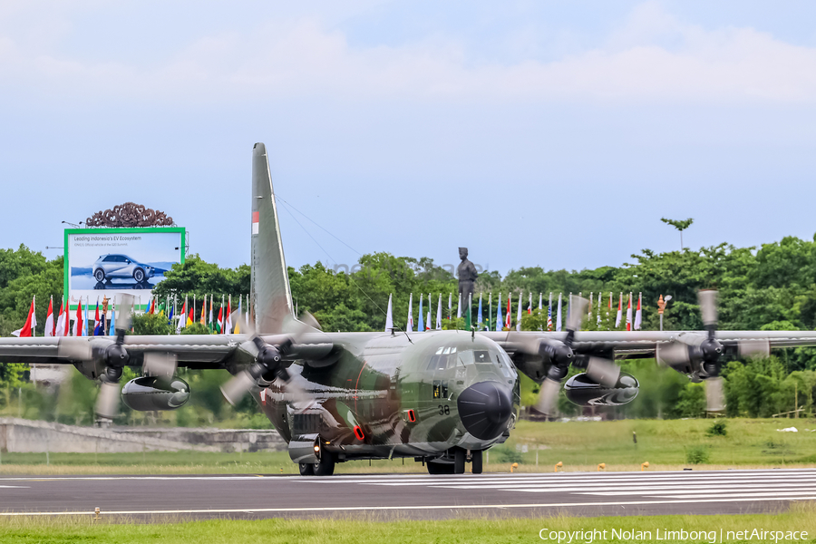 Indonesian Air Force (TNI-AU) Lockheed C-130H Hercules (A-1338) | Photo 537830