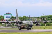 Indonesian Air Force (TNI-AU) Lockheed C-130H Hercules (A-1338) at  Denpasar/Bali - Ngurah Rai International, Indonesia