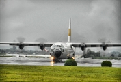 Indonesian Air Force (TNI-AU) Lockheed C-130H-30 Hercules (A-1341) at  Adisumarmo International, Indonesia