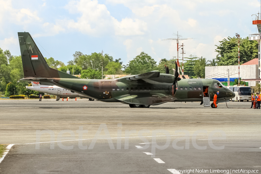 Indonesian Air Force (TNI-AU) CASA C-295M (A-2903) | Photo 423681