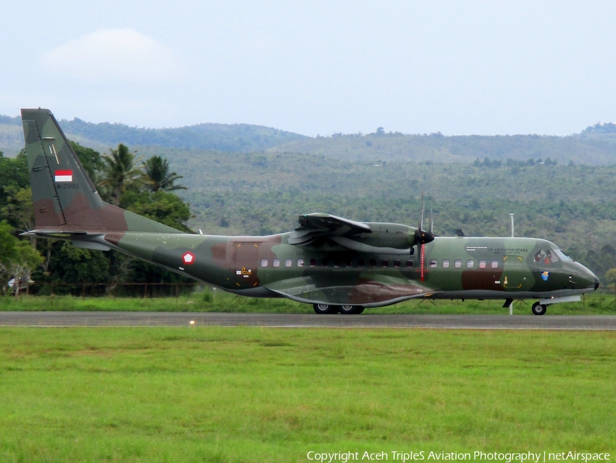 Indonesian Air Force (TNI-AU) CASA C-295M (A-2903) | Photo 208607