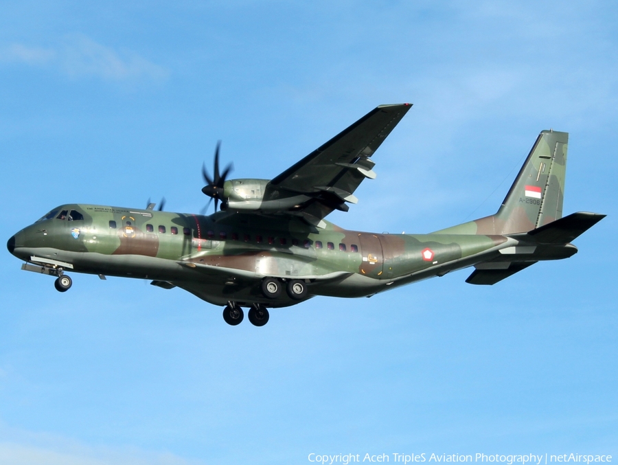 Indonesian Air Force (TNI-AU) CASA C-295M (A-2906) | Photo 247470