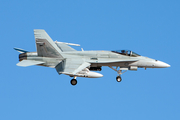 Royal Australian Air Force McDonnell Douglas F/A-18A Hornet (A21-21) at  Las Vegas - Nellis AFB, United States