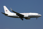 Royal Australian Air Force Boeing 737-7DF(BBJ) (A36-002) at  Farnborough, United Kingdom