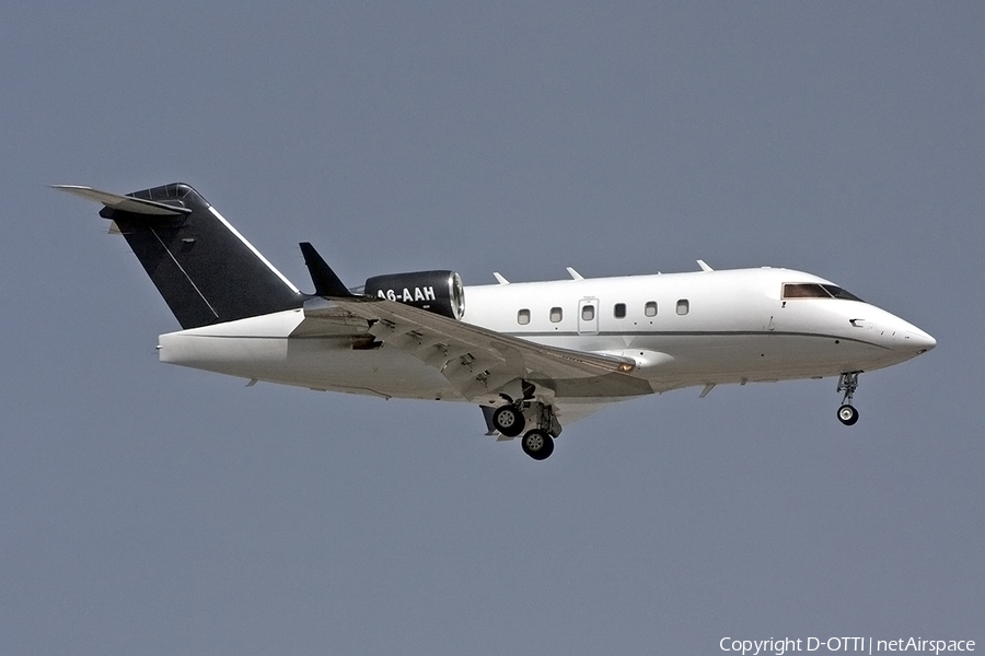 Elite Jets Bombardier CL-600-2B16 Challenger 604 (A6-AAH) | Photo 140038