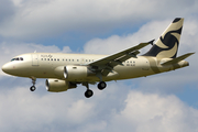 Al Jaber Aviation Airbus A318-112(CJ) Elite (A6-AJC) at  Hamburg - Fuhlsbuettel (Helmut Schmidt), Germany