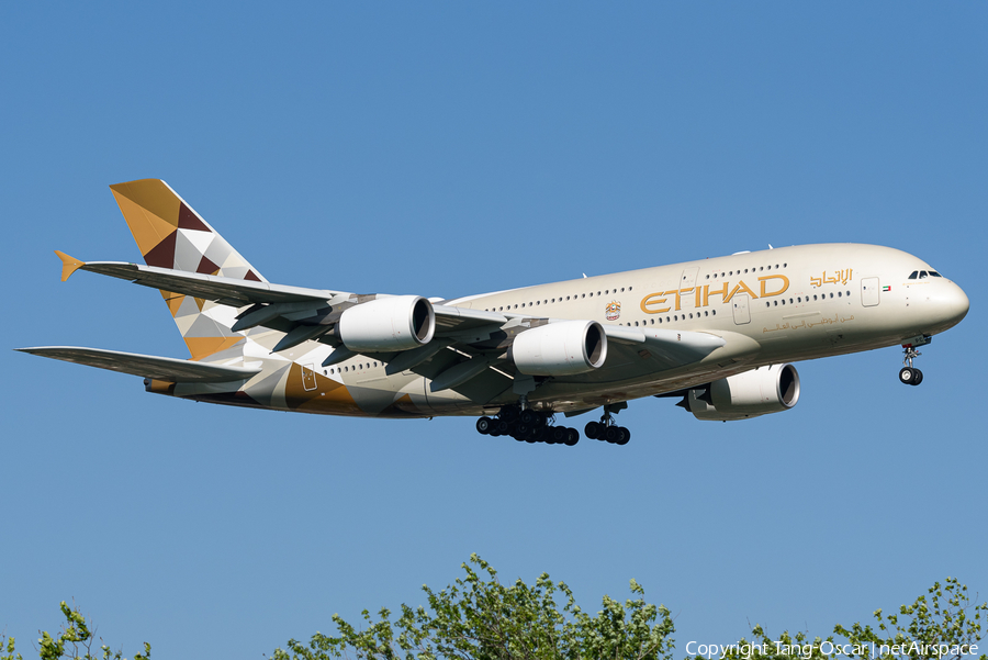 Etihad Airways Airbus A380-861 (A6-APC) | Photo 462669