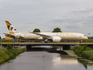 Etihad Airways Boeing 787-9 Dreamliner (A6-BLG) at  Amsterdam - Schiphol, Netherlands