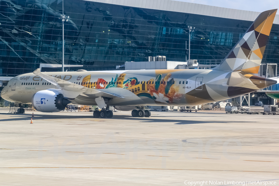 Etihad Airways Boeing 787-9 Dreamliner (A6-BLH) | Photo 401710