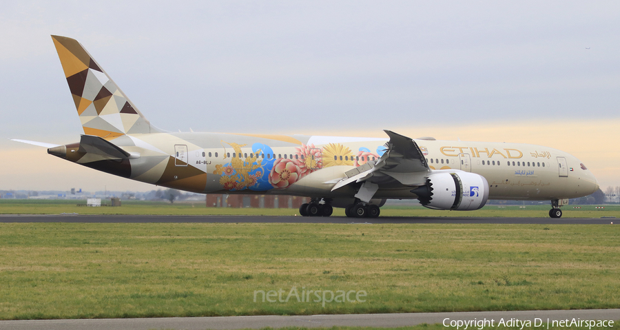 Etihad Airways Boeing 787-9 Dreamliner (A6-BLJ) | Photo 359306