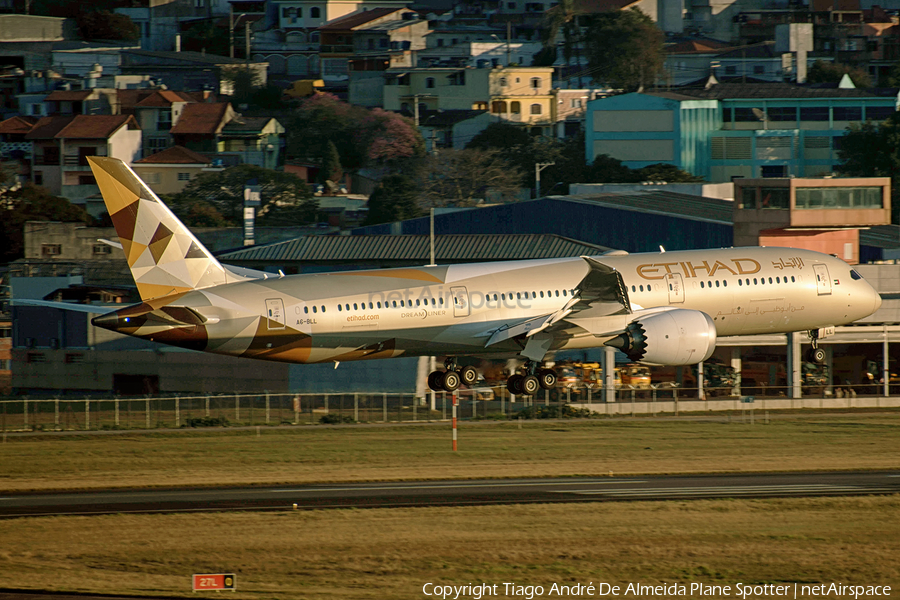 Etihad Airways Boeing 787-9 Dreamliner (A6-BLL) | Photo 480880