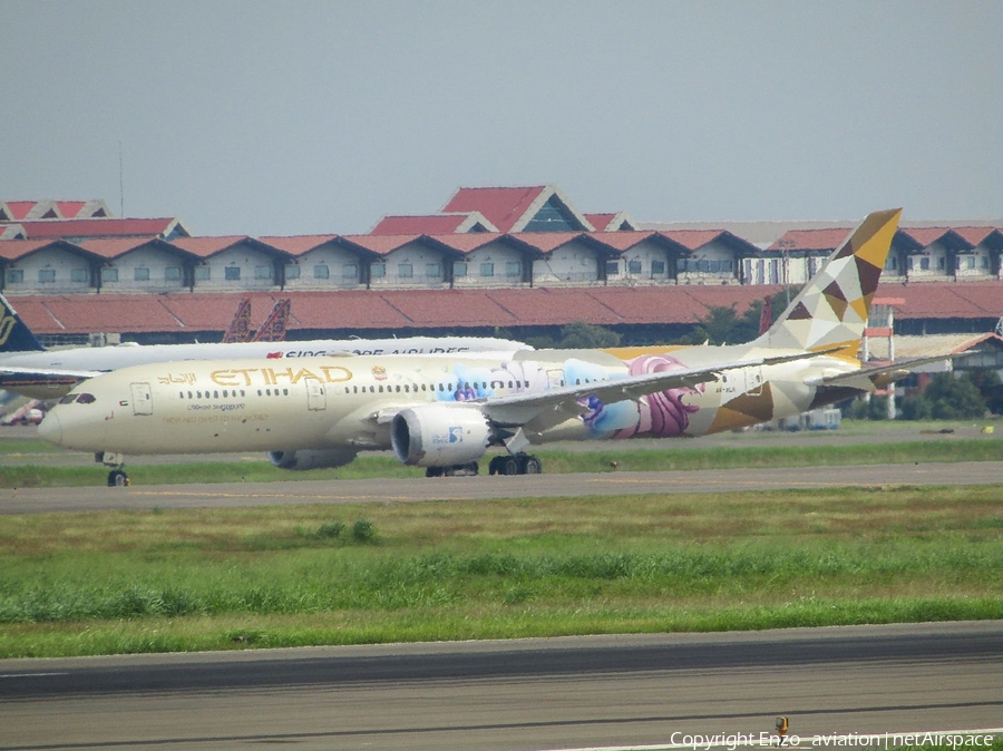 Etihad Airways Boeing 787-9 Dreamliner (A6-BLR) | Photo 519857