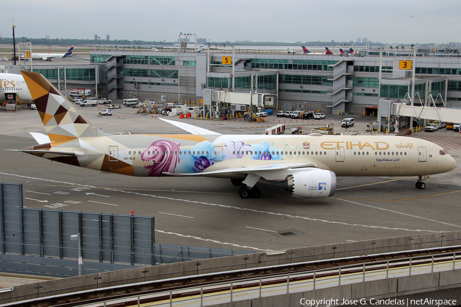 Etihad Airways Boeing 787-9 Dreamliner (A6-BLR) | Photo 529941