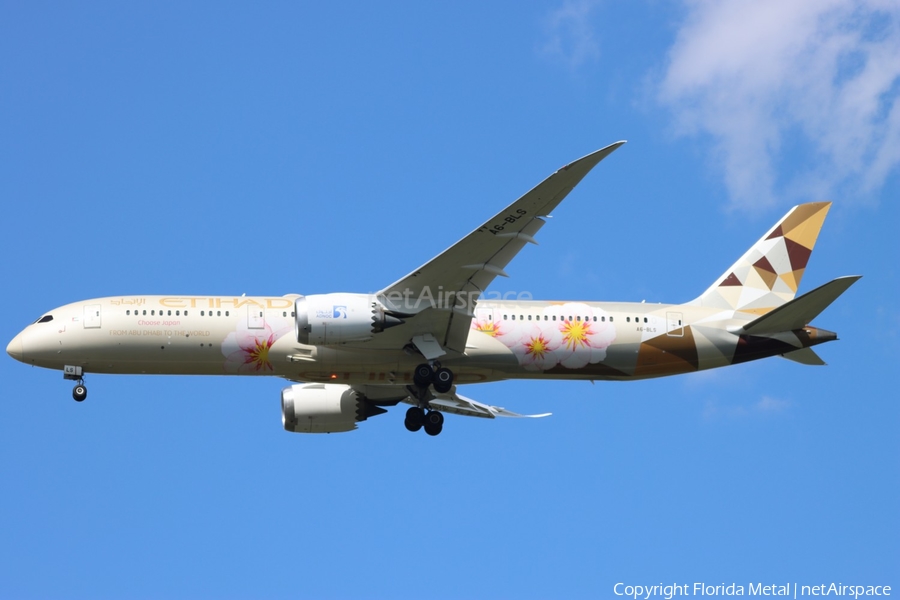 Etihad Airways Boeing 787-9 Dreamliner (A6-BLS) | Photo 516048