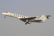 Dana Executive Jets Gulfstream G-V (A6-DEJ) at  Sharjah - International, United Arab Emirates