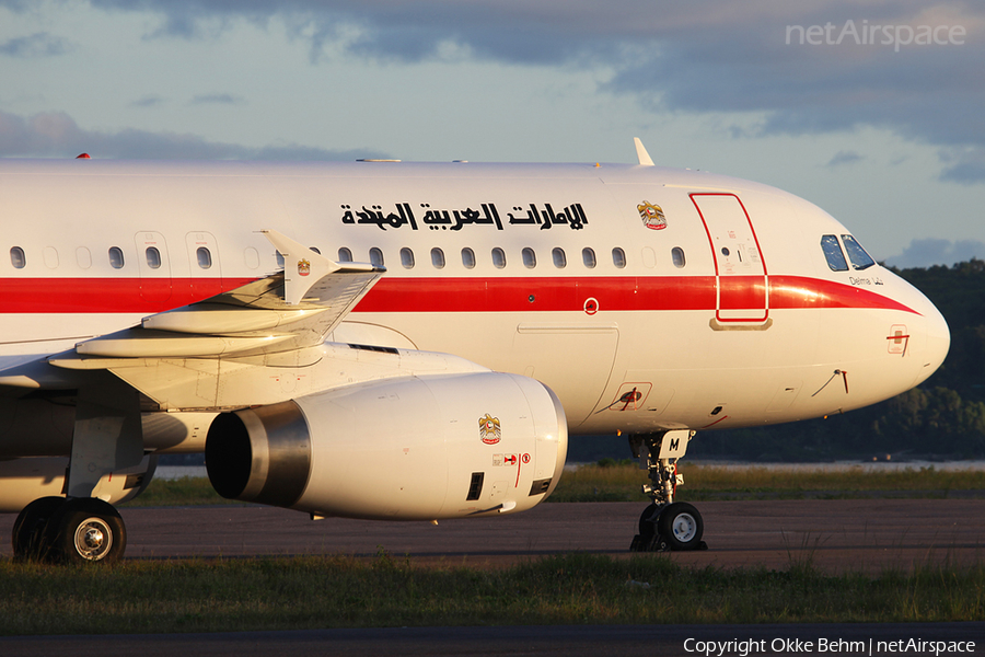 United Arab Emirates Government (Abu Dhabi) Airbus A320-232 (A6-DLM) | Photo 39785