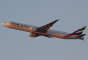 Emirates Boeing 777-31H(ER) (A6-EBF) at  Dubai - International, United Arab Emirates