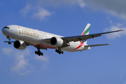 Emirates Boeing 777-36N(ER) (A6-ECN) at  Sao Paulo - Guarulhos - Andre Franco Montoro (Cumbica), Brazil