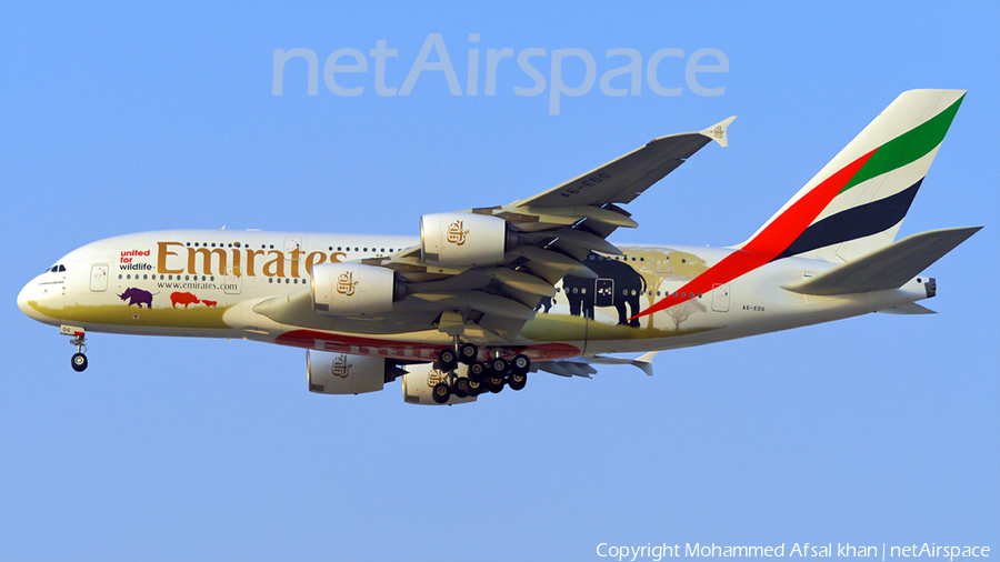 Emirates Airbus A380-861 (A6-EDG) | Photo 217381