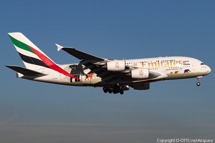 Emirates Airbus A380-861 (A6-EDG) | Photo 141631