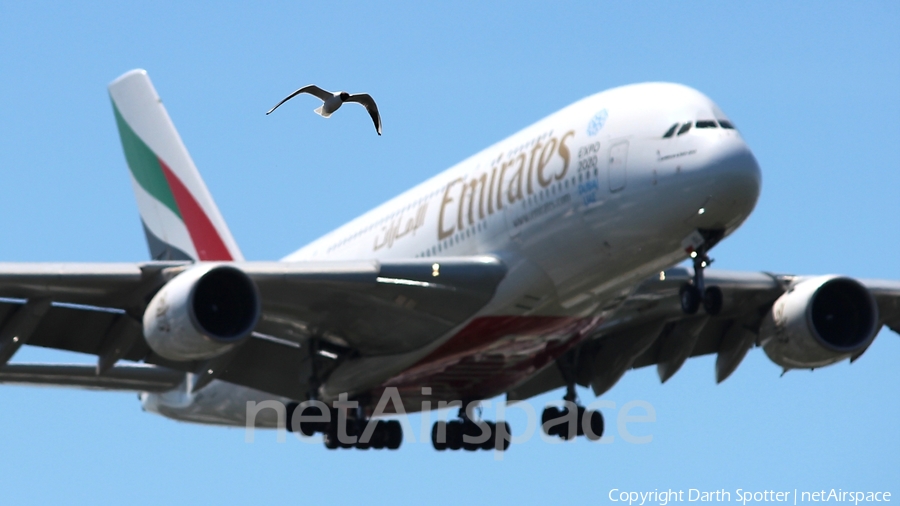 Emirates Airbus A380-861 (A6-EDL) | Photo 210193