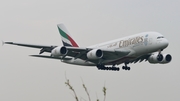 Emirates Airbus A380-861 (A6-EDL) at  Amsterdam - Schiphol, Netherlands