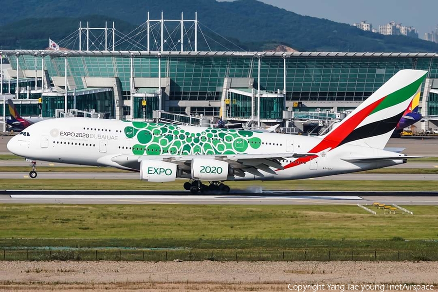 Emirates Airbus A380-861 (A6-EDL) | Photo 380198
