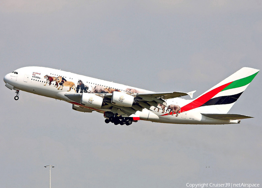 Emirates Airbus A380-861 (A6-EEI) | Photo 243185