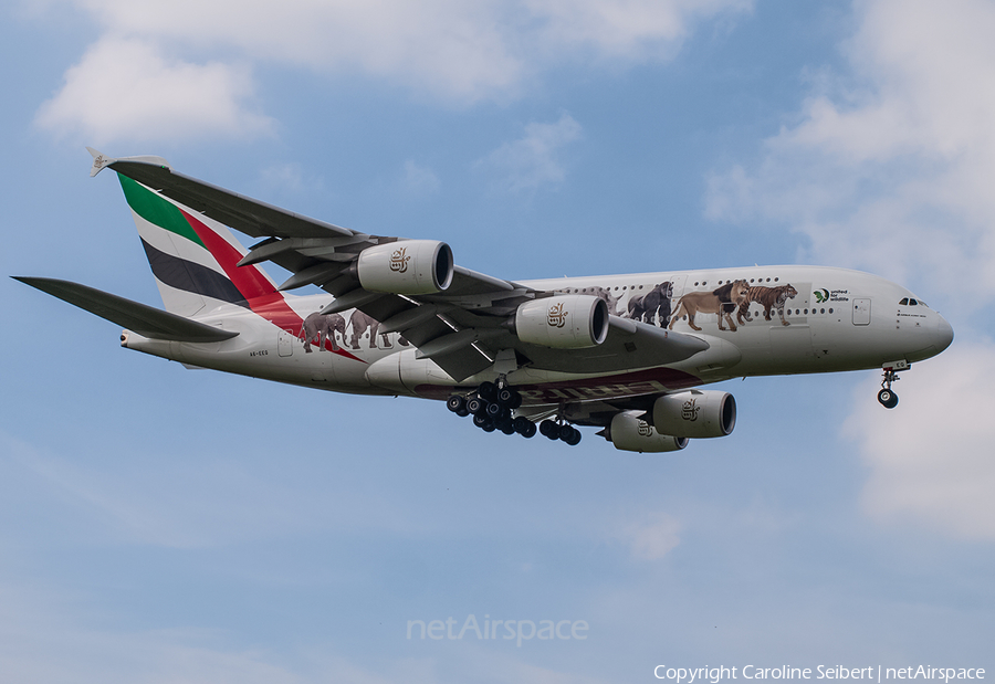 Emirates Airbus A380-861 (A6-EEQ) | Photo 247880