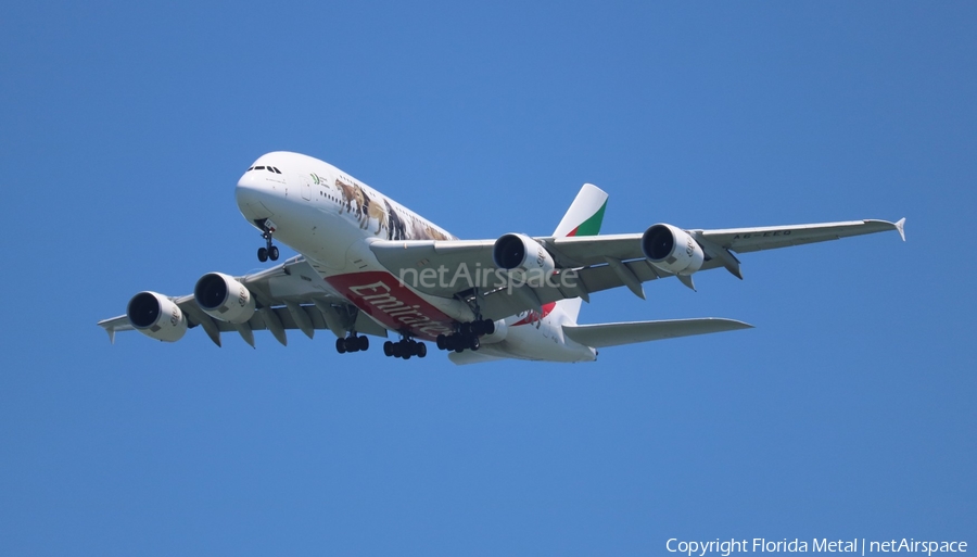 Emirates Airbus A380-861 (A6-EEQ) | Photo 516097