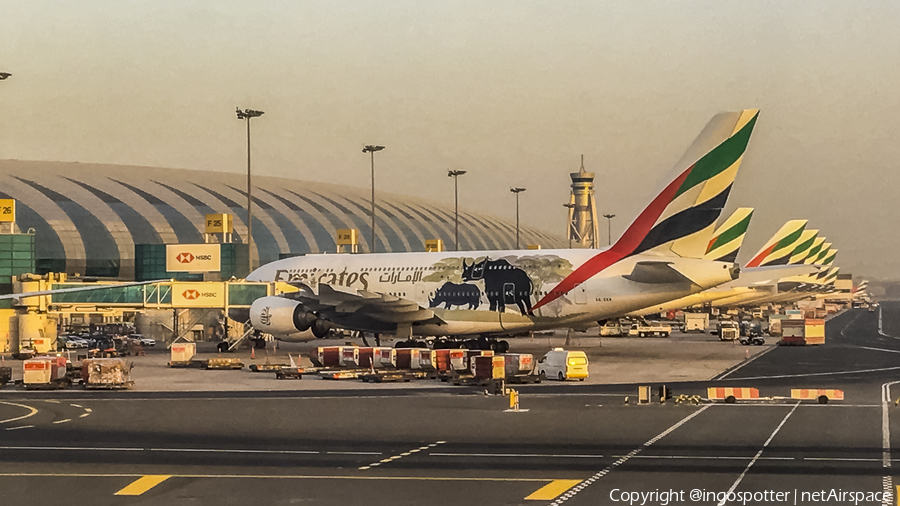 Emirates Airbus A380-861 (A6-EER) | Photo 330090