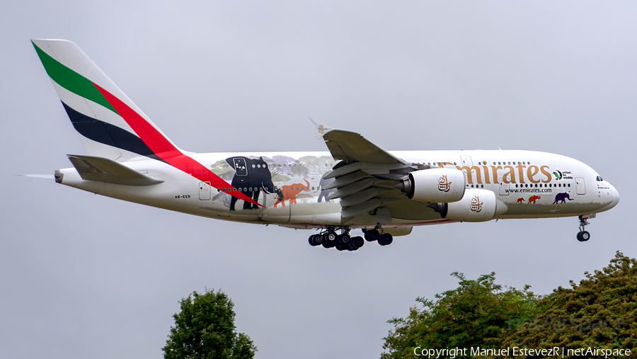 Emirates Airbus A380-861 (A6-EER) | Photo 347554