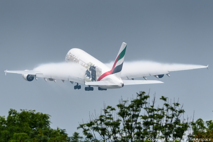 Emirates Airbus A380-861 (A6-EER) | Photo 298012