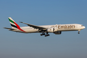Emirates Boeing 777-31H(ER) (A6-EGD) at  Frankfurt am Main, Germany