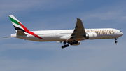 Emirates Boeing 777-31H(ER) (A6-EGZ) at  Frankfurt am Main, Germany