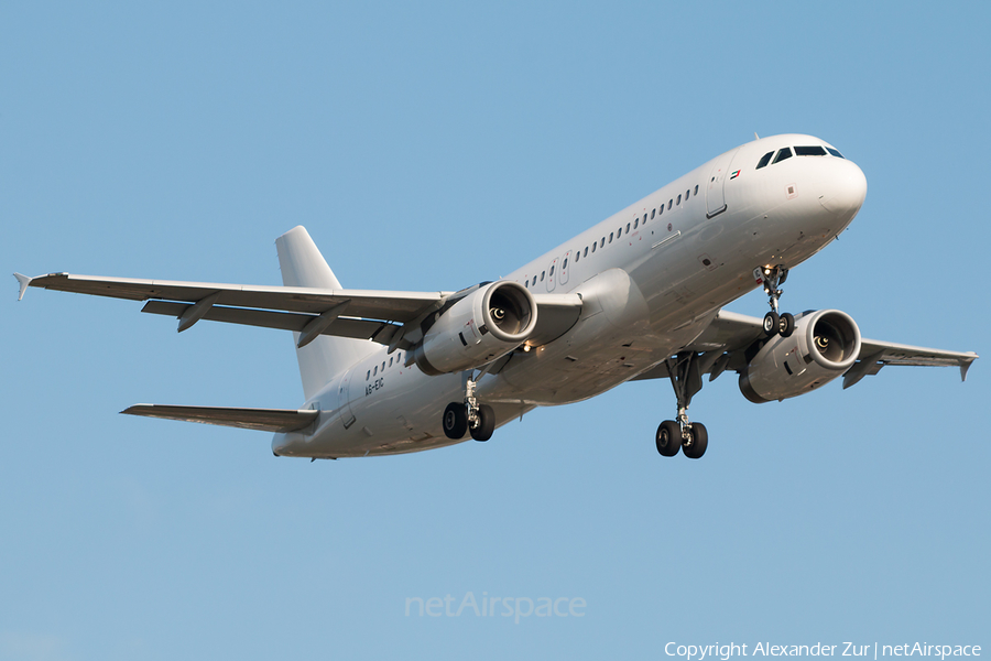 Etihad Airways Airbus A320-232 (A6-EIC) | Photo 345373