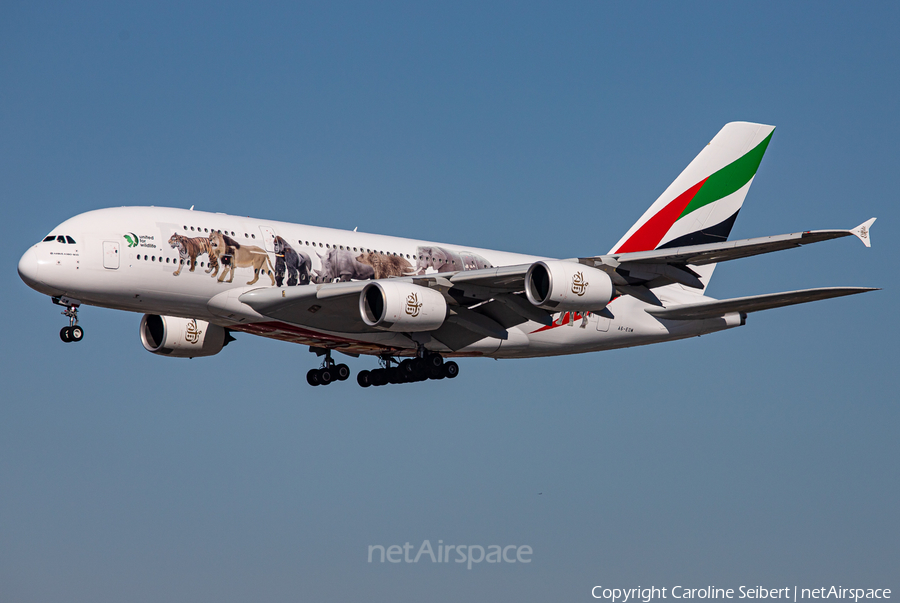 Emirates Airbus A380-861 (A6-EOM) | Photo 359234