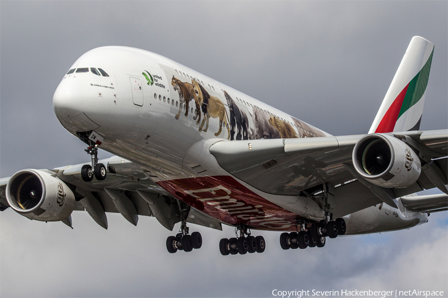 Emirates Airbus A380-861 (A6-EOM) | Photo 169931