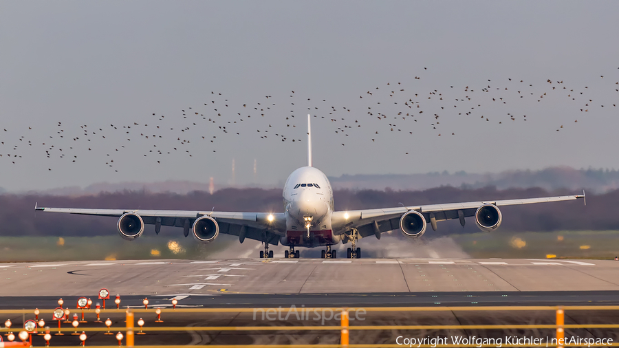Emirates Airbus A380-861 (A6-EOO) | Photo 282401