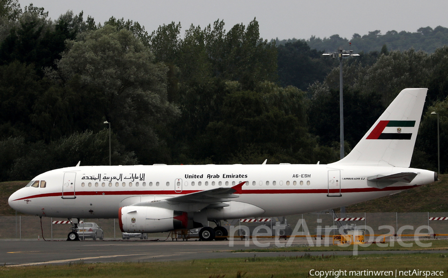 United Arab Emirates Government (Sharjah) Airbus A319-133X CJ (A6-ESH) | Photo 260288