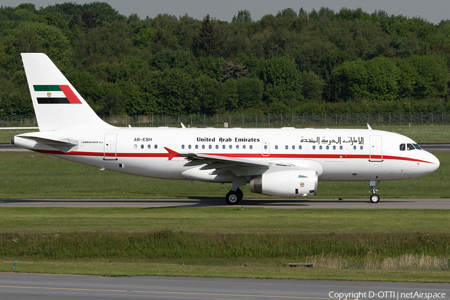 United Arab Emirates Government (Sharjah) Airbus A319-133X CJ (A6-ESH) | Photo 164447
