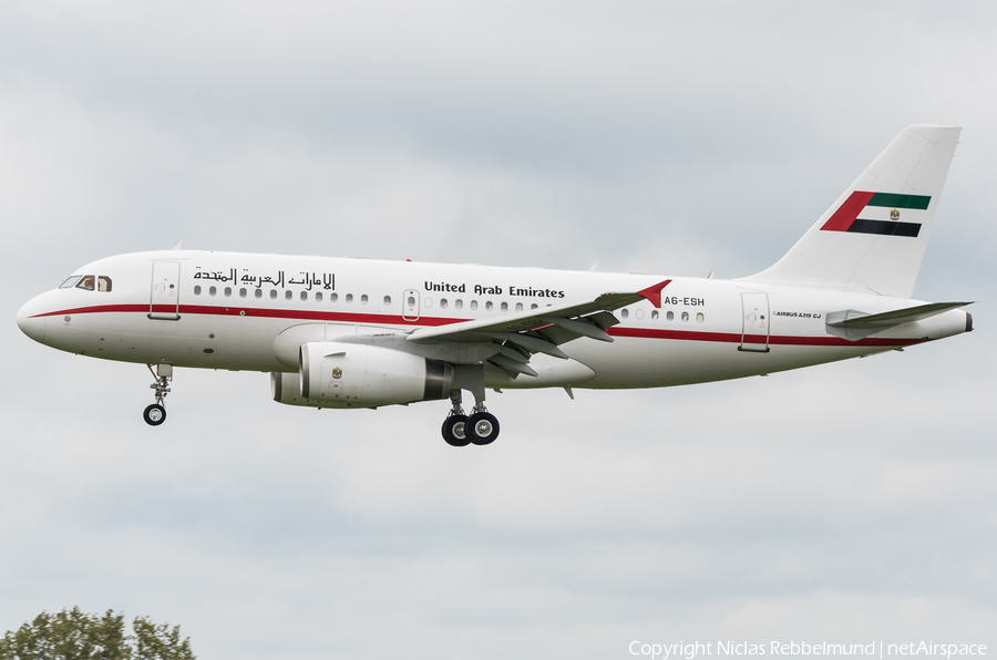 United Arab Emirates Government (Sharjah) Airbus A319-133X CJ (A6-ESH) | Photo 316211