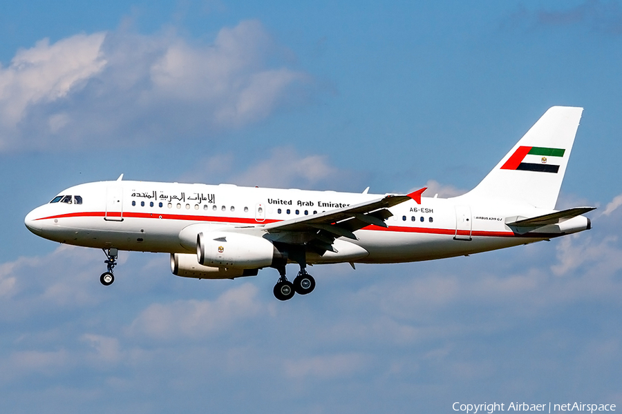 United Arab Emirates Government (Sharjah) Airbus A319-133X CJ (A6-ESH) | Photo 369198