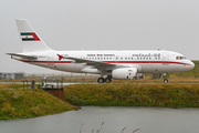 United Arab Emirates Government (Sharjah) Airbus A319-133X CJ (A6-ESH) at  Hamburg - Fuhlsbuettel (Helmut Schmidt), Germany