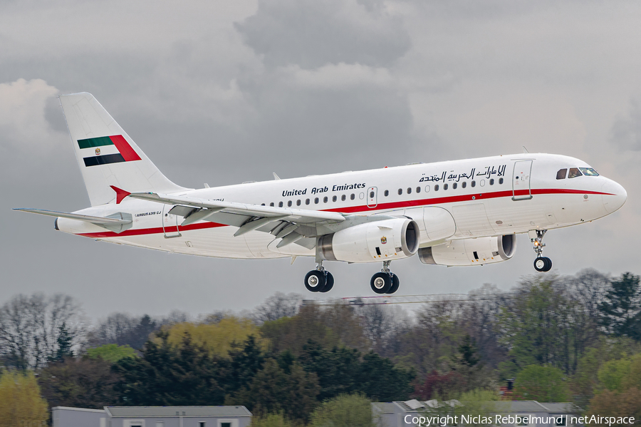United Arab Emirates Government (Sharjah) Airbus A319-133X CJ (A6-ESH) | Photo 445132