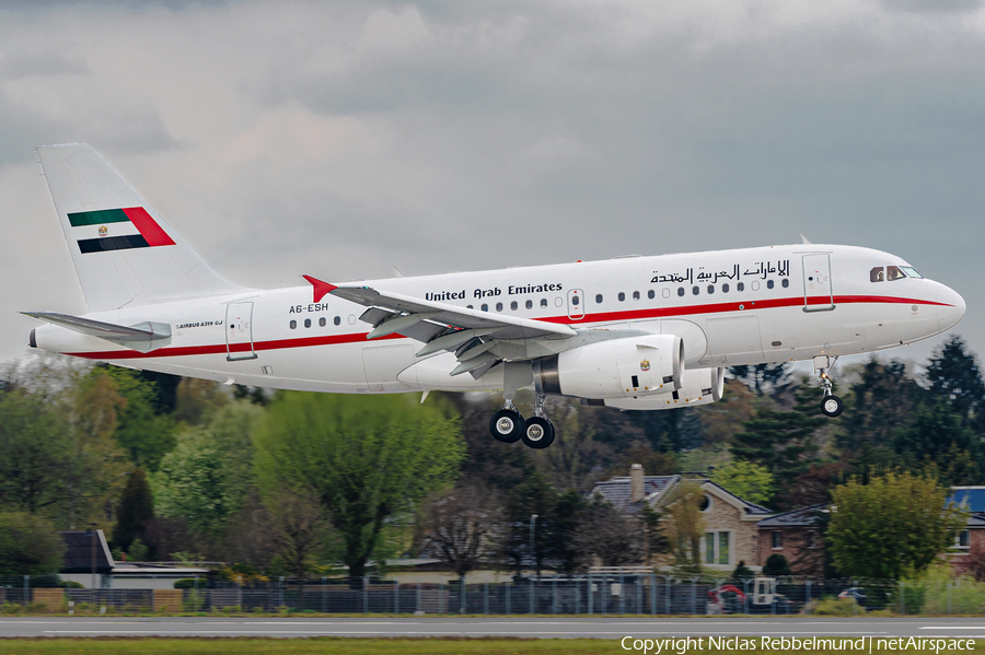 United Arab Emirates Government (Sharjah) Airbus A319-133X CJ (A6-ESH) | Photo 445133