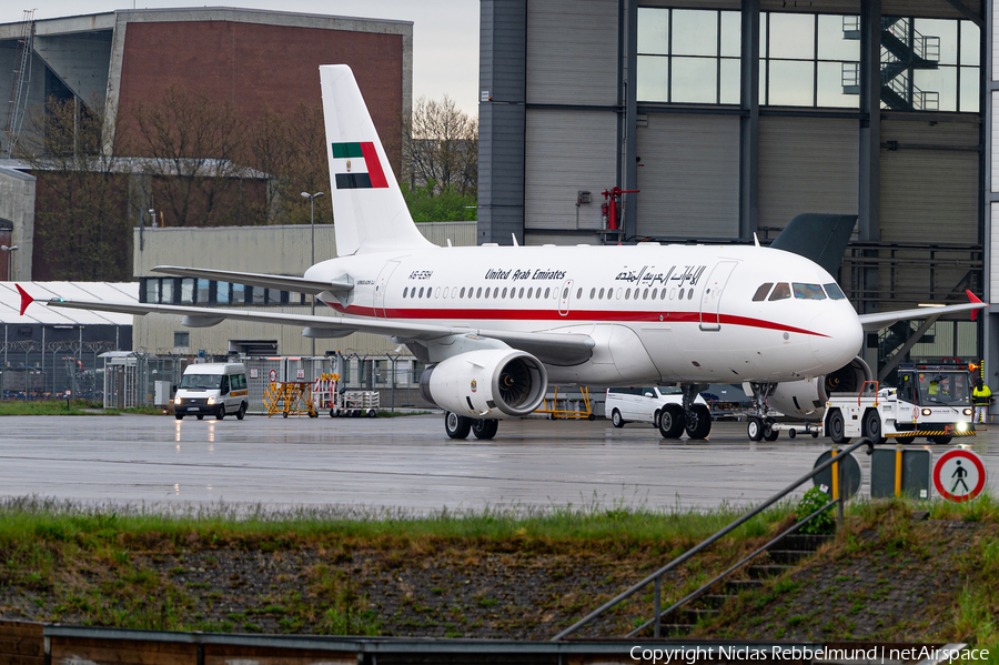 United Arab Emirates Government (Sharjah) Airbus A319-133X CJ (A6-ESH) | Photo 446960