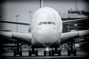 Emirates Airbus A380-861 (A6-EUD) at  Amsterdam - Schiphol, Netherlands