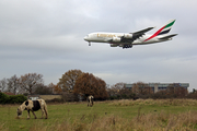 Emirates Airbus A380-841 (A6-EUR) at  London - Heathrow, United Kingdom